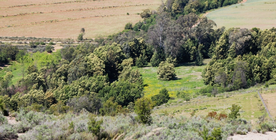 0 Bedroom Property for Sale in Uniondale Rural Western Cape